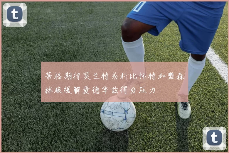 蒂格期待莫兰特或科比怀特加盟森林狼缓解爱德华兹得分压力