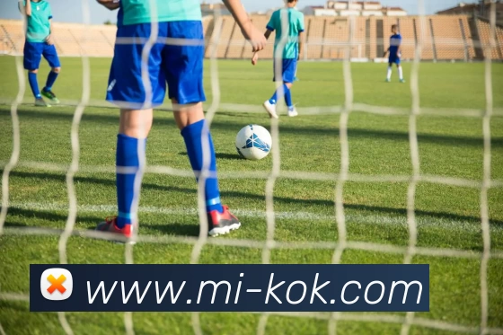 多媒体互动体验